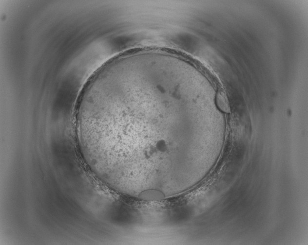 X0000087640879200705241237