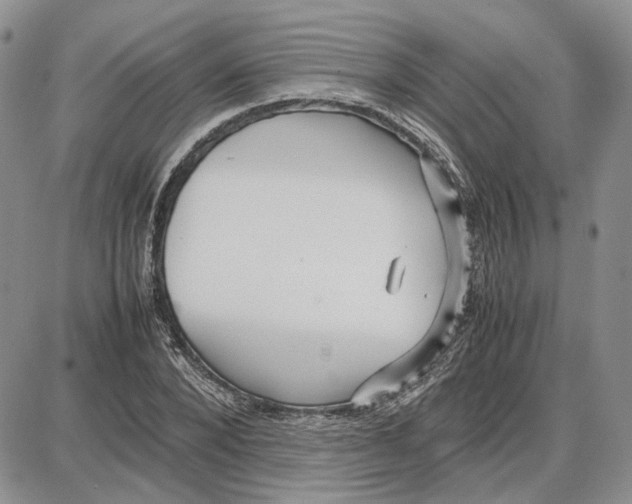 X0000087640880200705241237