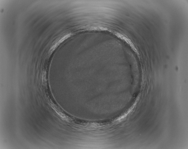 X0000087640881200705241237