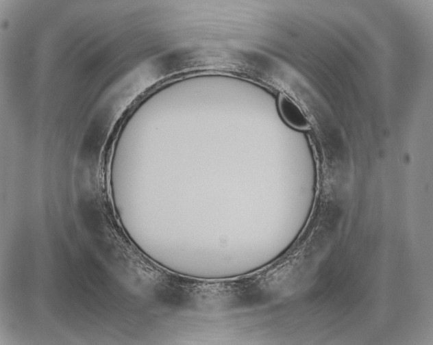 X0000087640883200705241237