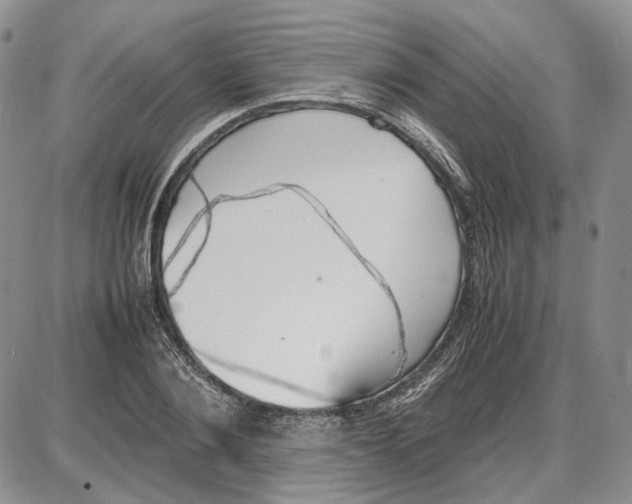 X0000087640884200705241237