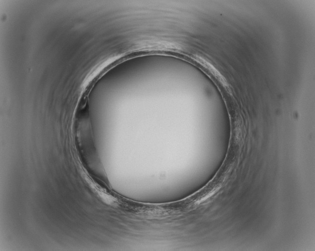 X0000087640885200705241237