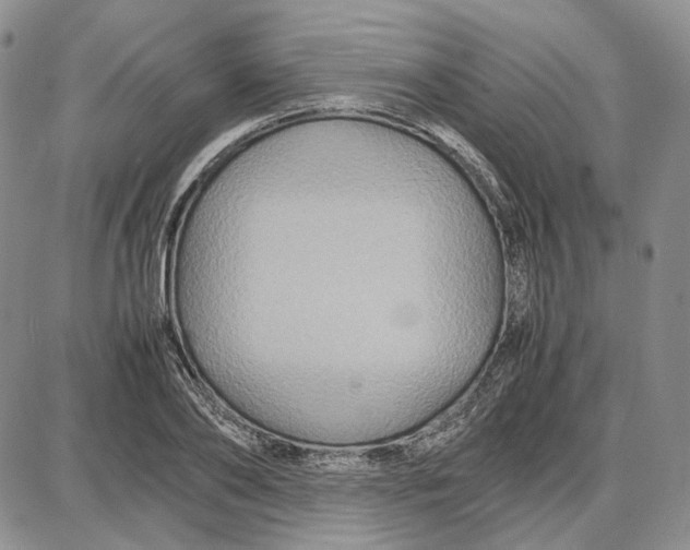 X0000087640886200705241237