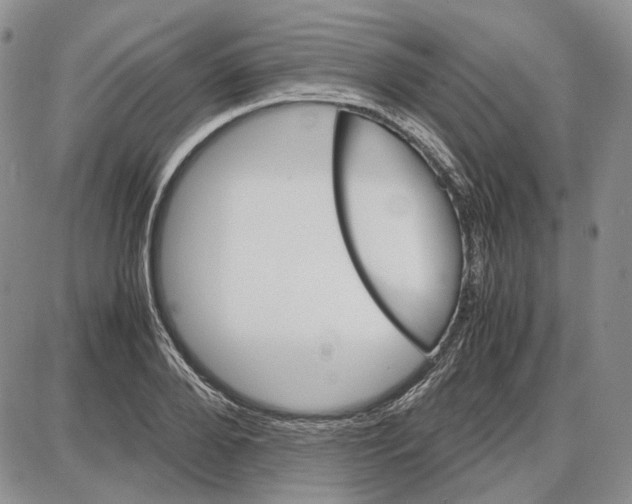 X0000087640888200705241237