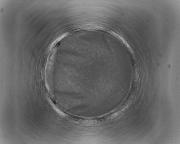 X0000087640889200705241237