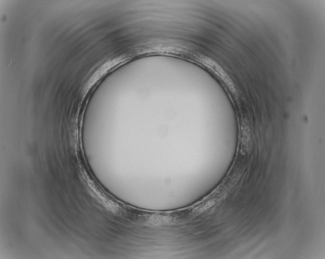 X0000087640890200705241237