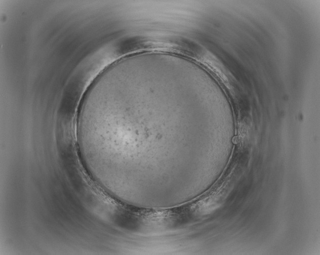 X0000087640891200705241237