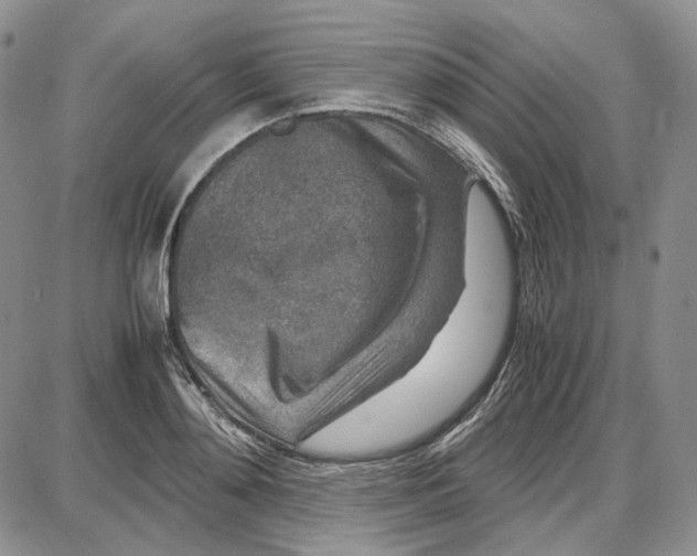 X0000087640892200705241237