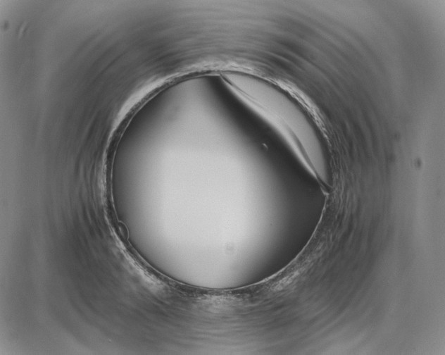 X0000087640894200705241237