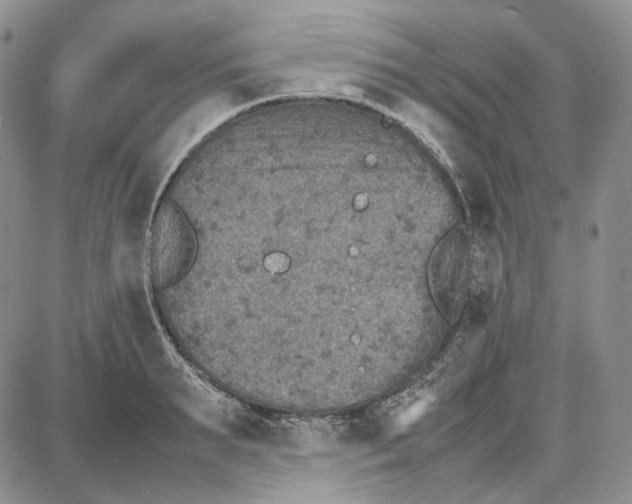 X0000087640895200705241237