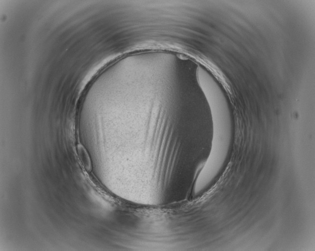 X0000087640896200705241237