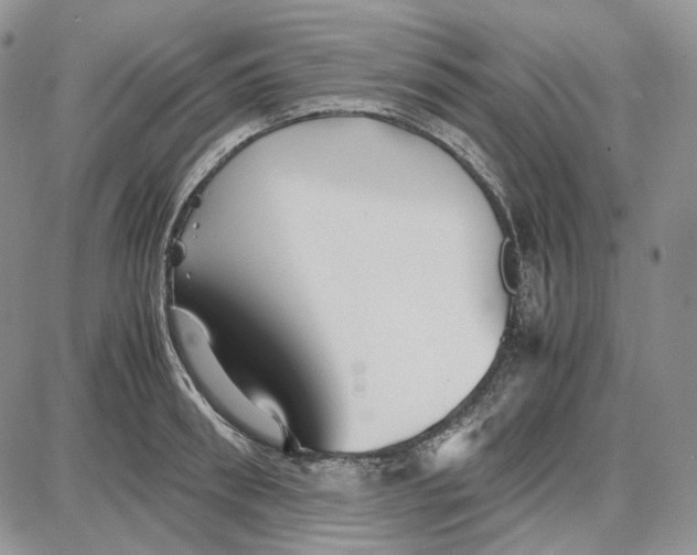 X0000087640898200705241237