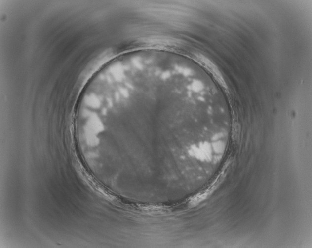 X0000087640899200705241237