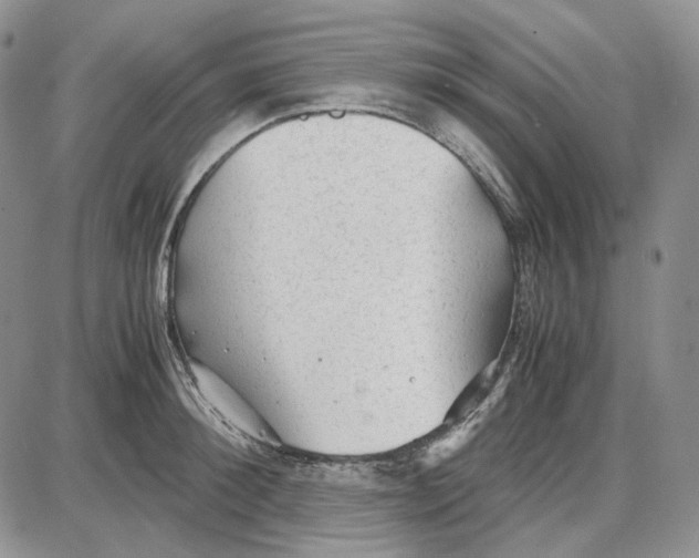 X0000087640900200705241237