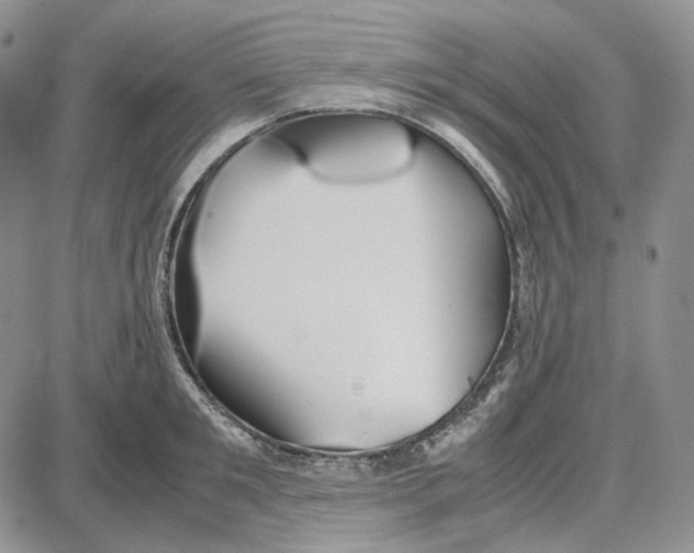 X0000087640901200705241237