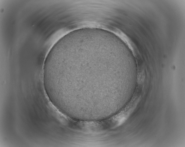 X0000087640903200705241237