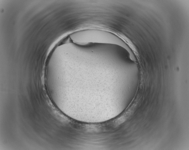 X0000087640904200705241237