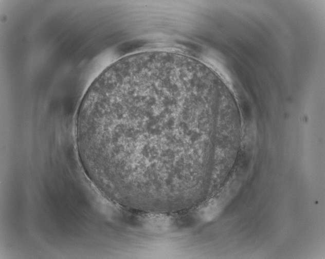 X0000087640907200705241237