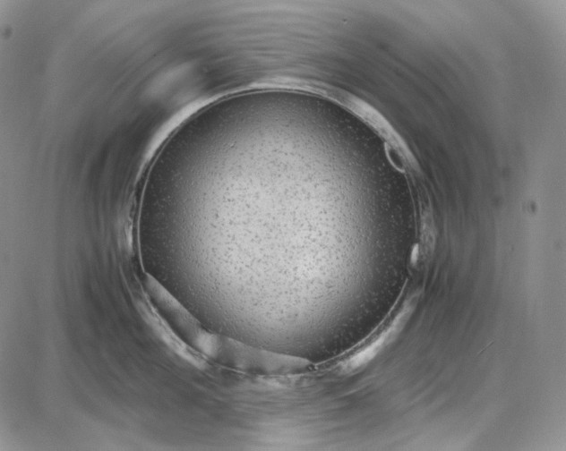 X0000087640908200705241237