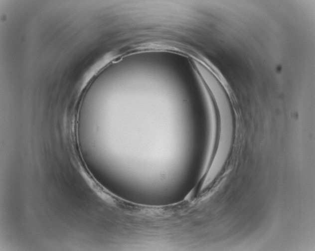 X0000087640909200705241236