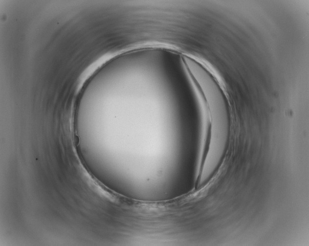 X0000087640910200705241236