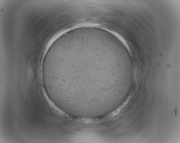 X0000087640911200705241236