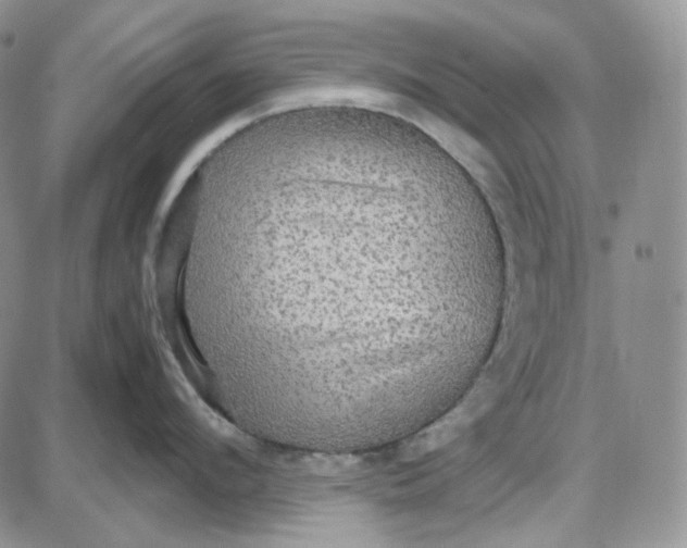 X0000087640912200705241236