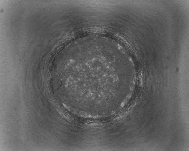 X0000087640913200705241236