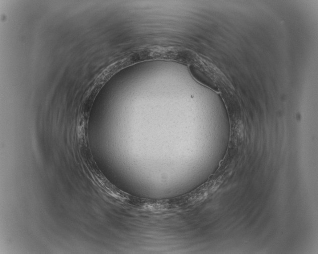 X0000087640914200705241236