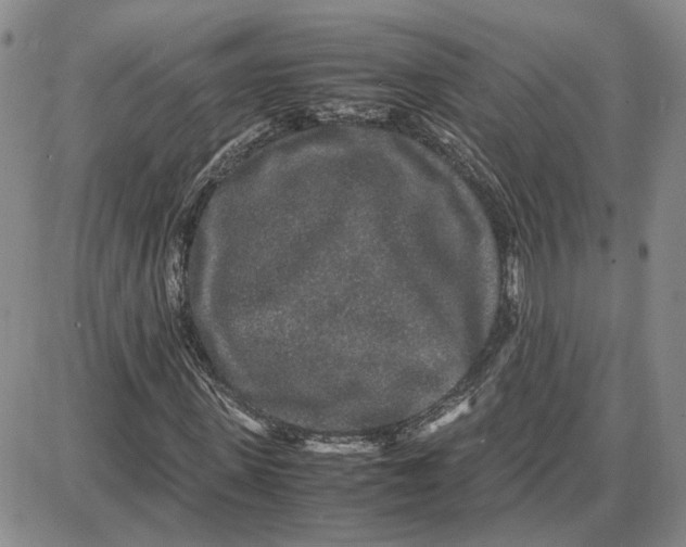 X0000087640915200705241236