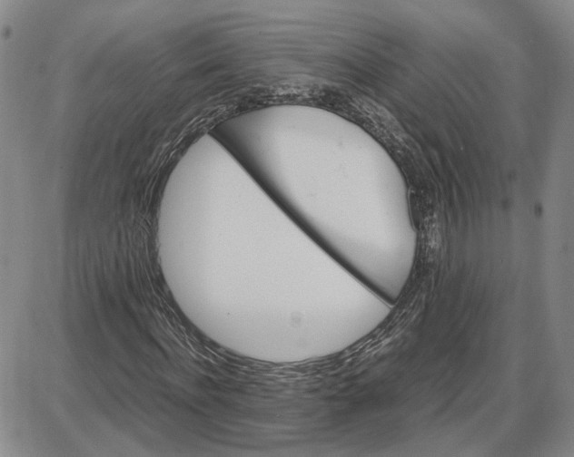 X0000087640916200705241236