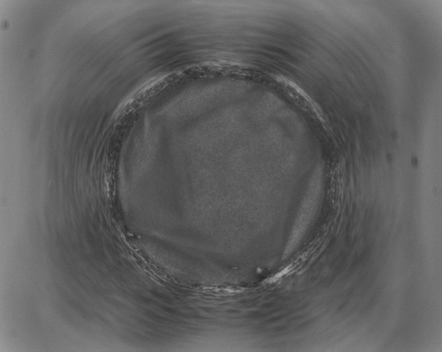 X0000087640919200705241236