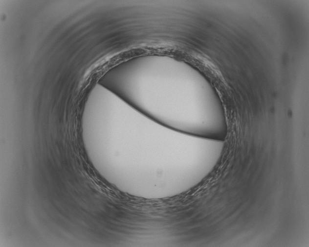 X0000087640920200705241236