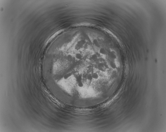 X0000087640921200705241236