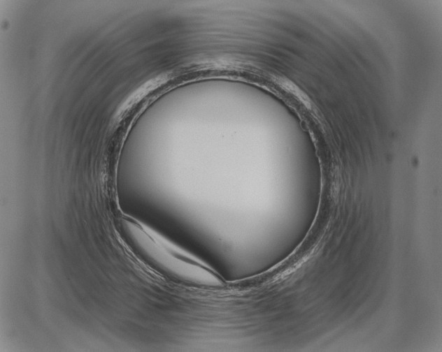 X0000087640922200705241236