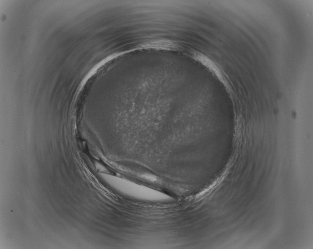 X0000087640923200705241236