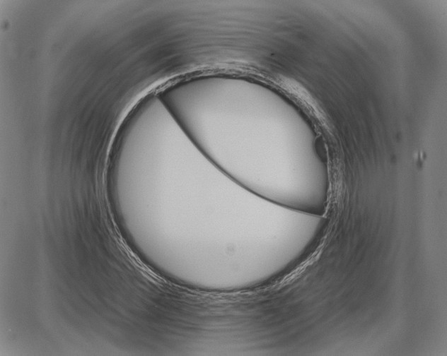 X0000087640924200705241236