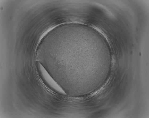 X0000087640925200705241236