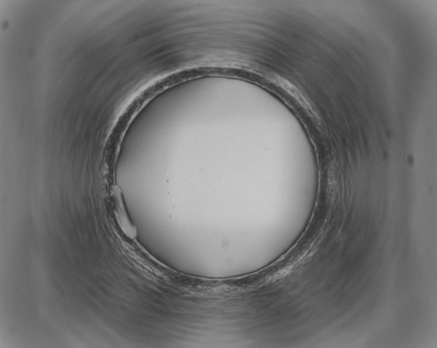 X0000087640926200705241236