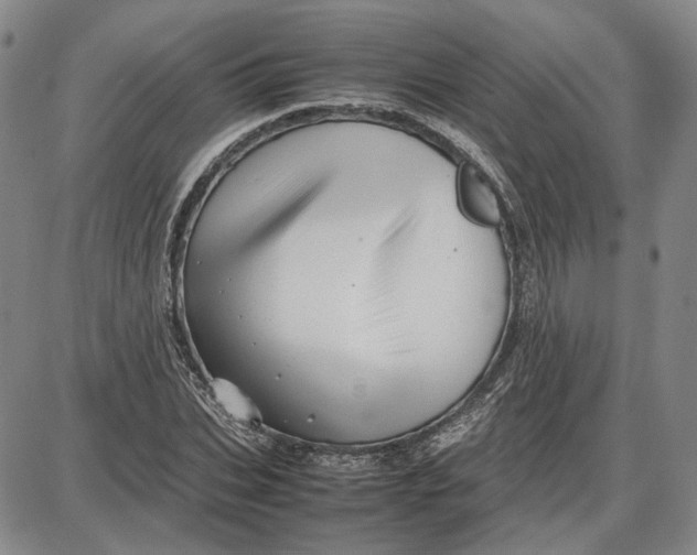 X0000087640927200705241236