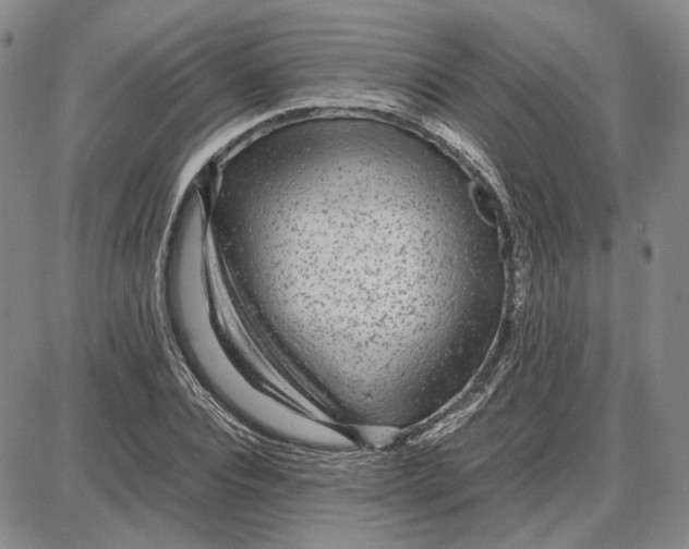 X0000087640928200705241236