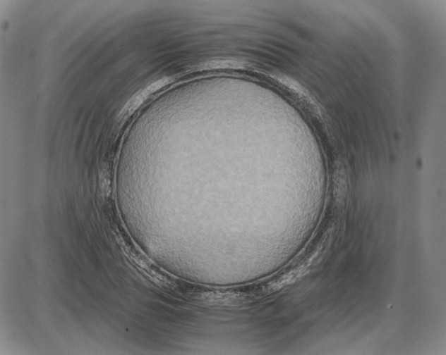 X0000087640929200705241236