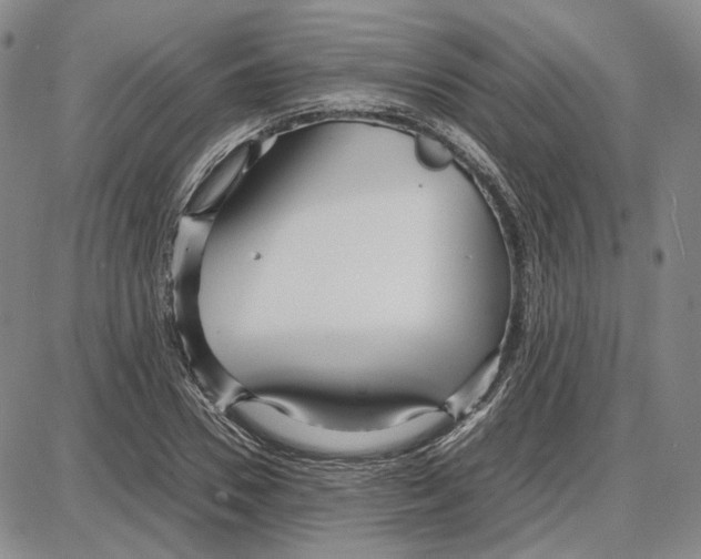 X0000087640930200705241236