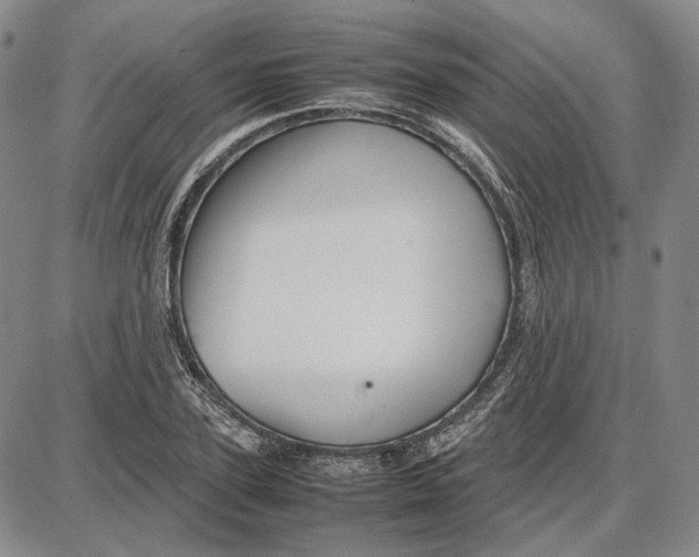 X0000087640931200705241236