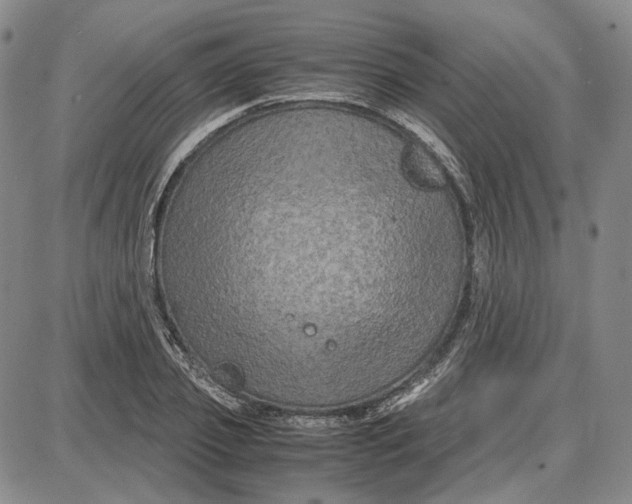 X0000087640933200705241236