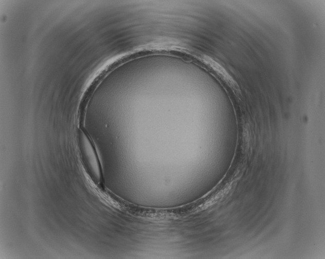 X0000087640934200705241236