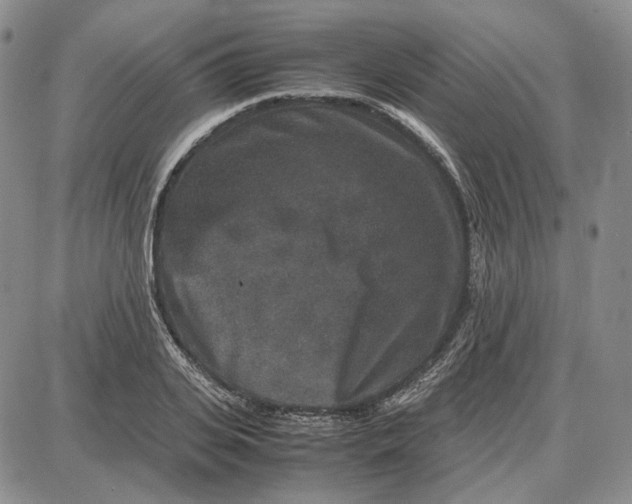 X0000087640935200705241236