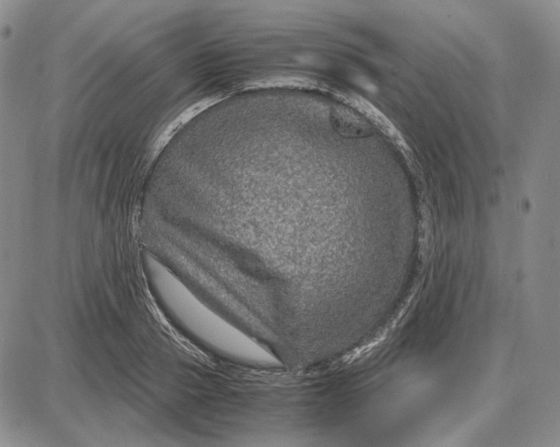 X0000087640937200705241236