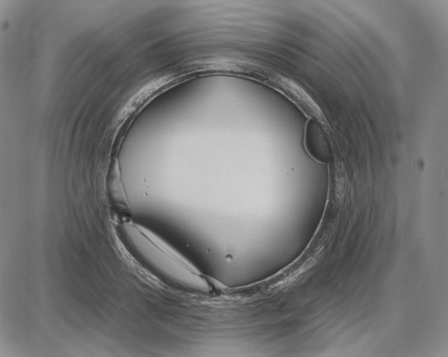 X0000087640938200705241236