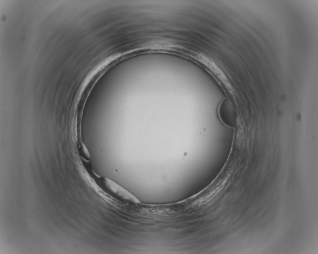 X0000087640939200705241236